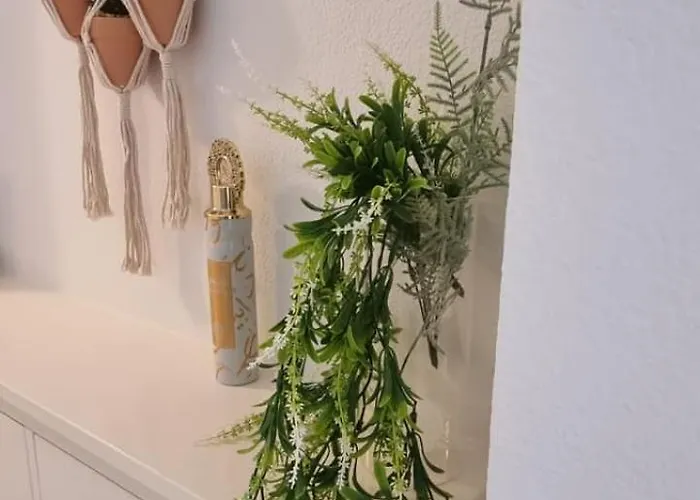 Samsora- * 马尔韦利亚